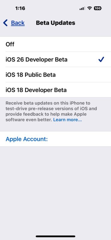 Choose the iOS 26 developer beta