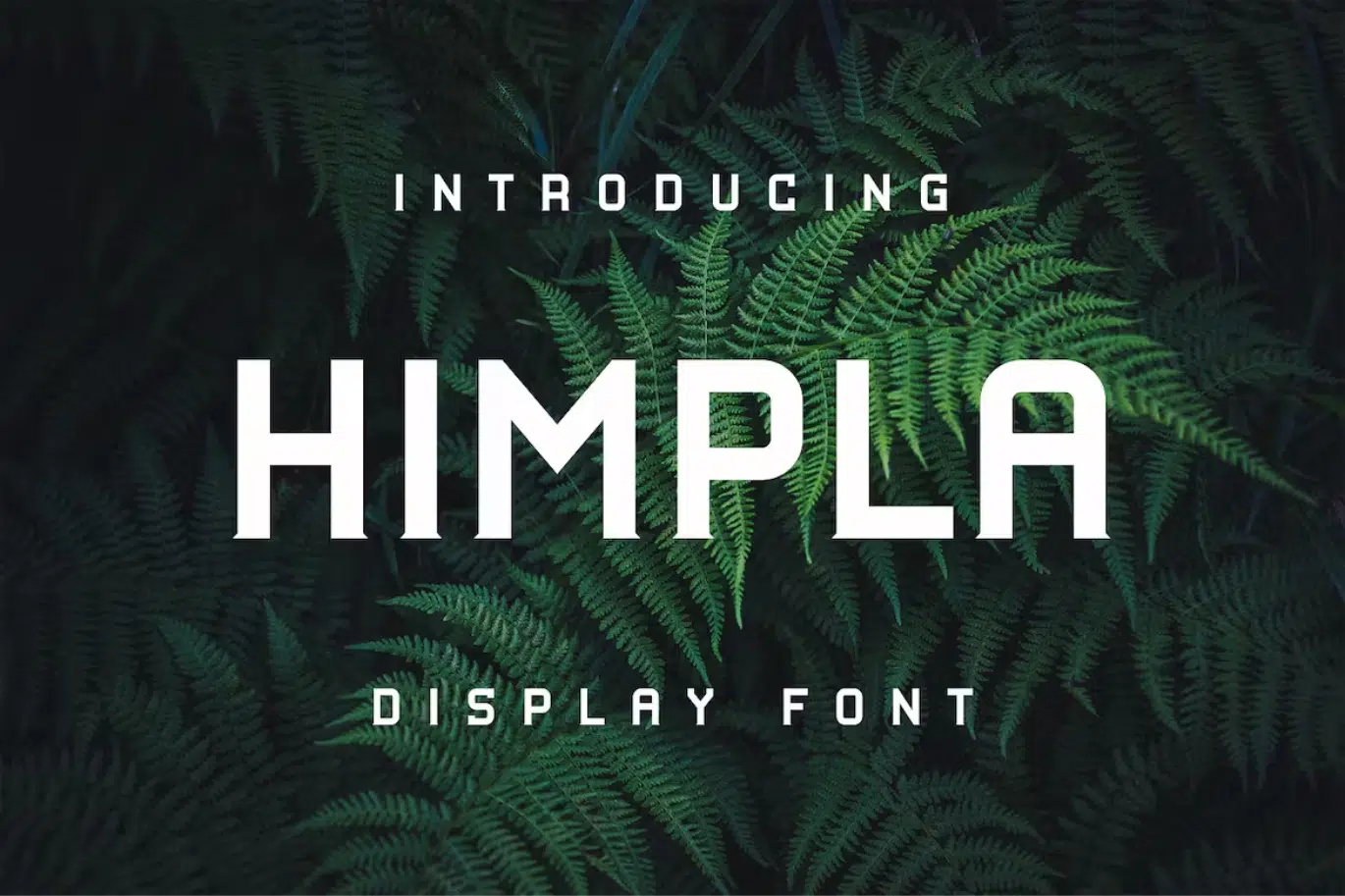 Hampla Font