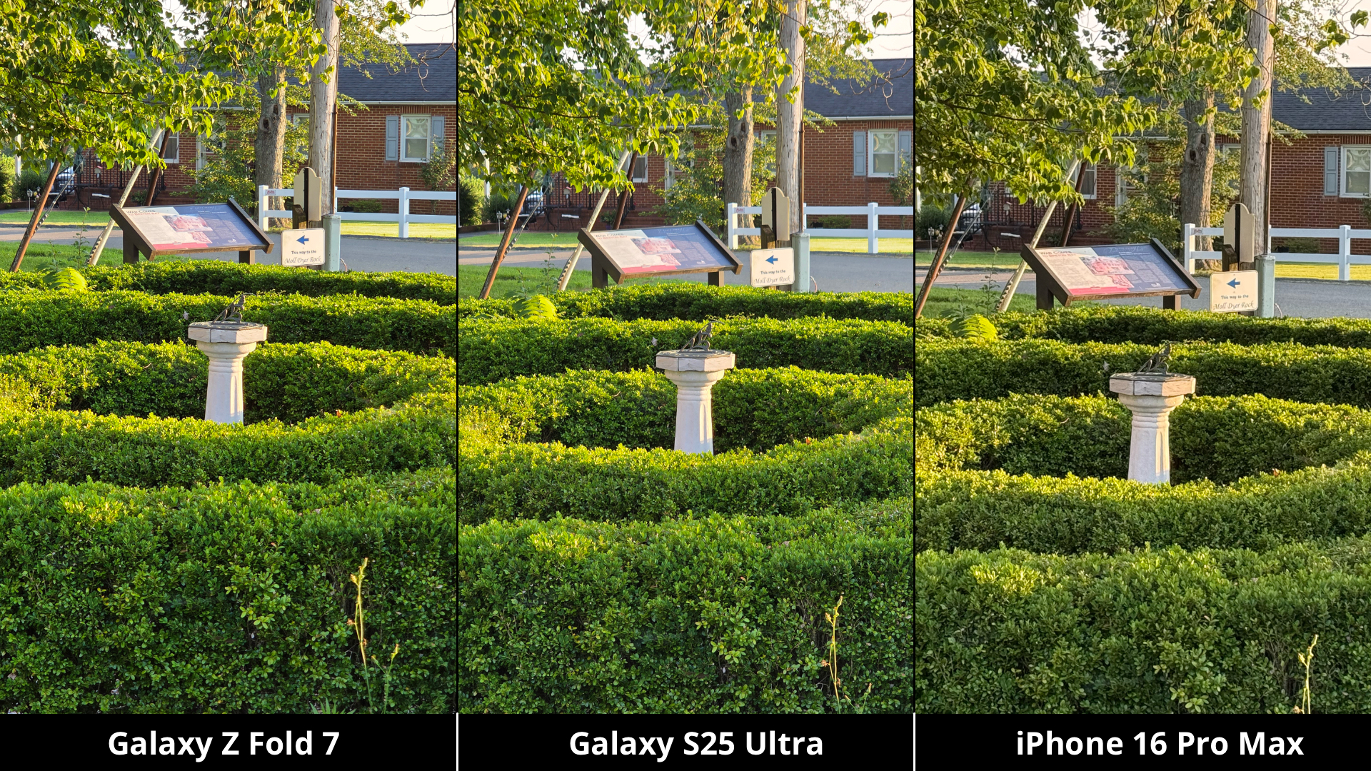 Samsung Galaxy Z Fold 7 vs. Galaxy S25 Ultra vs. iPhone 16 Pro Max Camera Comparison