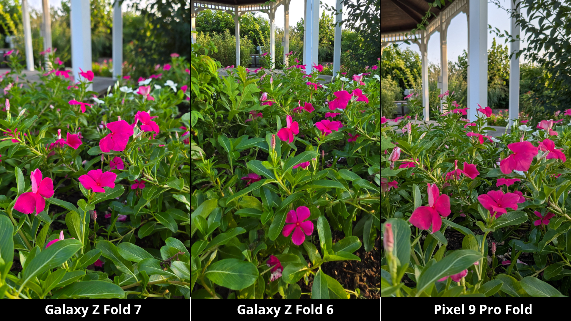 Samsung Galaxy Z Fold 7 vs. Galaxy Z Fold 6 and Pixel 9 Pro Fold Camera Comparison