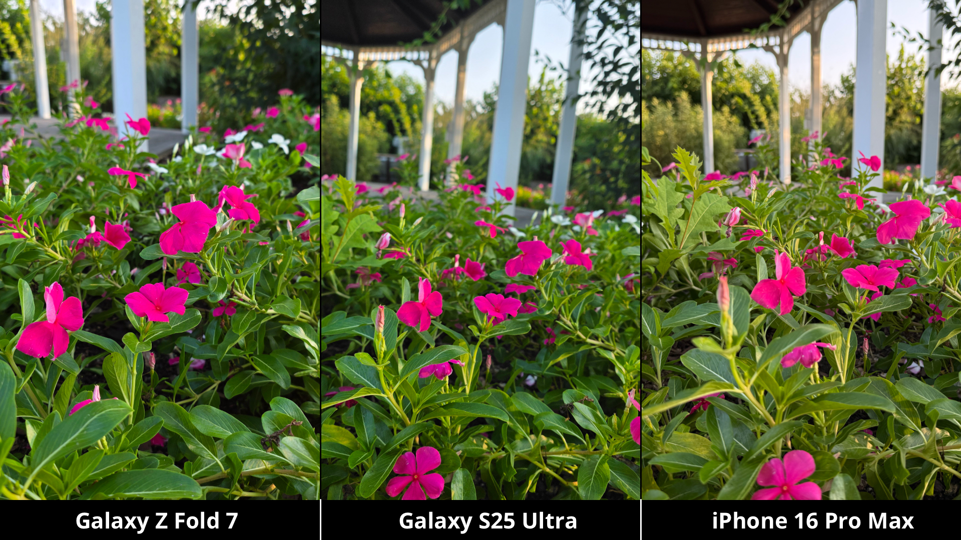 Samsung Galaxy Z Fold 7 vs. Galaxy S25 Ultra vs. iPhone 16 Pro Max Camera Comparison