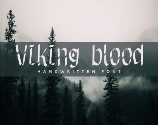 viking blood