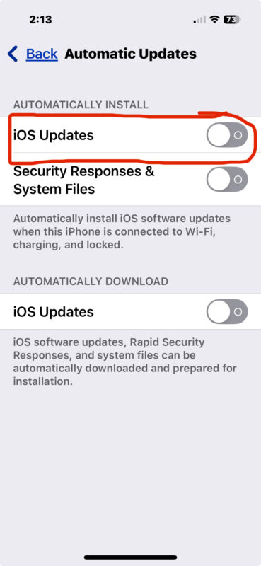 How to prevent automatic updating to iOS 26 on iPhone or iPad