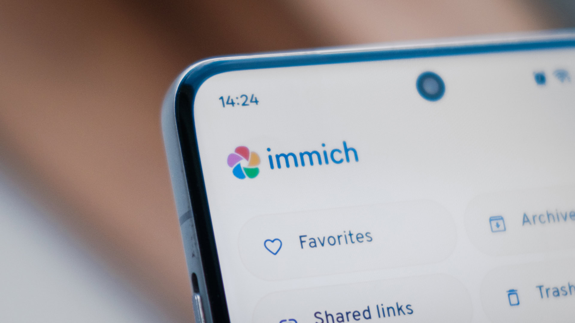 Immich app logo